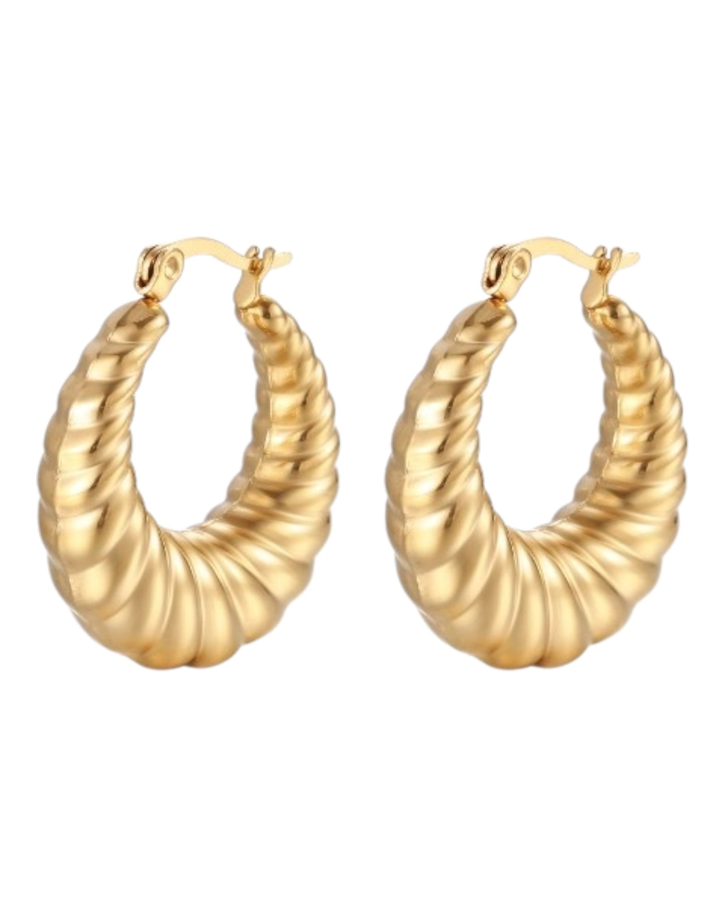 Aretes Spiral Hoop