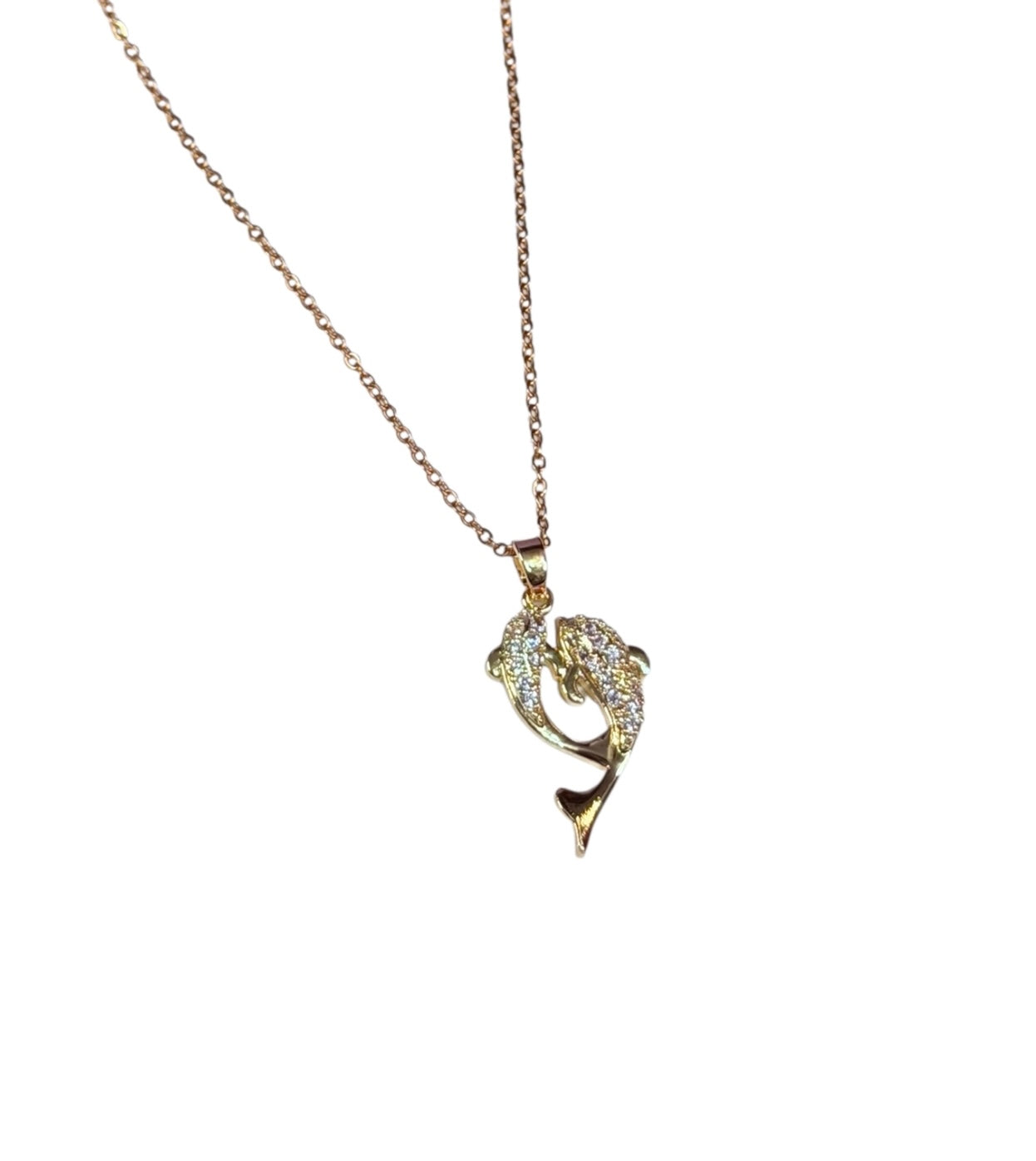 Collar Dolphin Glow
