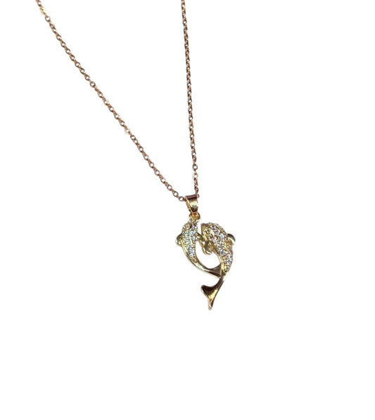 Collar Dolphin Glow
