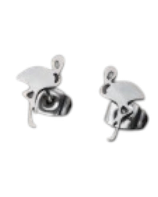Aretes Flamingo